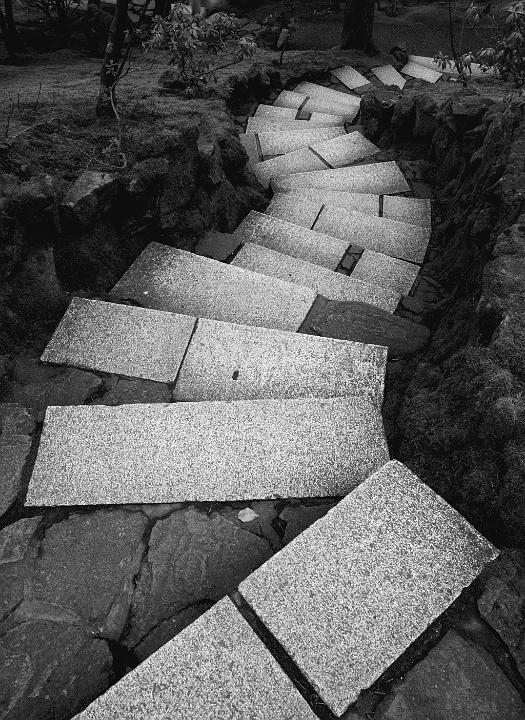 Stairs 13-8808a bw.jpg